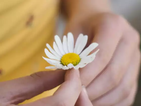 Reiki Level 1