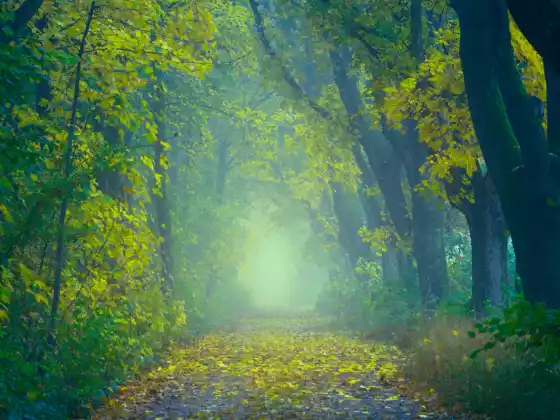 Spring Equinox Ceremony 2022 - Creating a New Relationship with Magic
